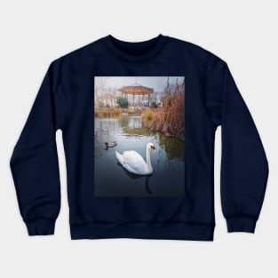swan and wild ducks on water Crewneck Sweatshirt